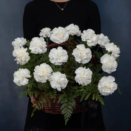 Корзина из белых гвоздик